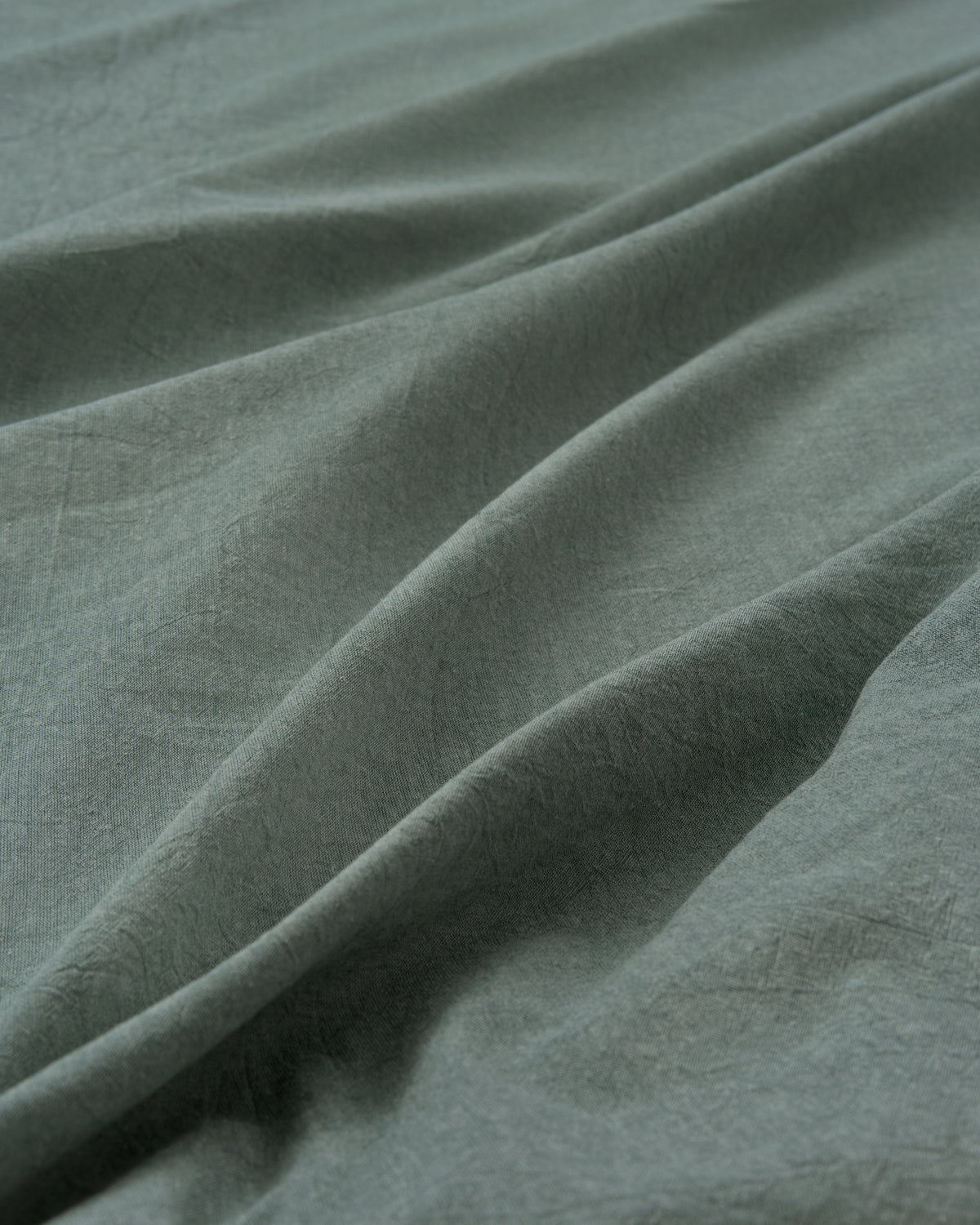 ecomposer-color-sage-green