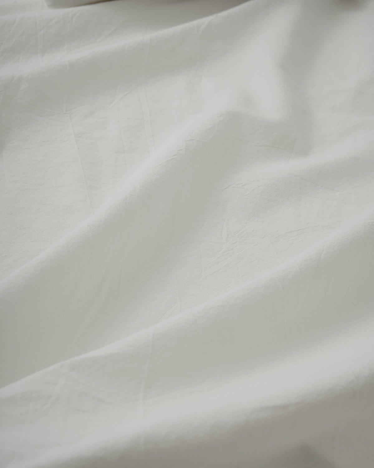 ecomposer-color-soft-white